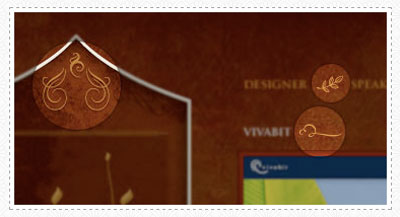 cameronmoll cameronmoll